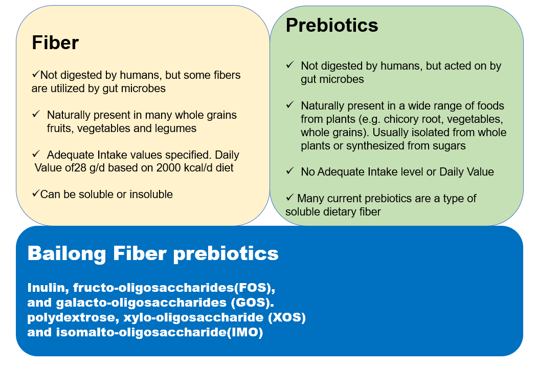 prebiotics & fiber