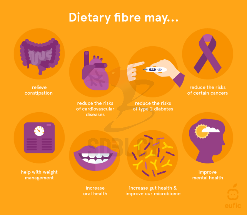 dietary fiber