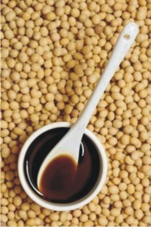 Soy Lecithin