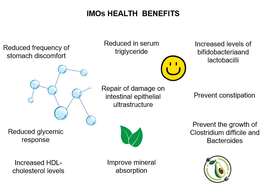 Organic Isomalto-oligosaccharide 500 (corn) Powder