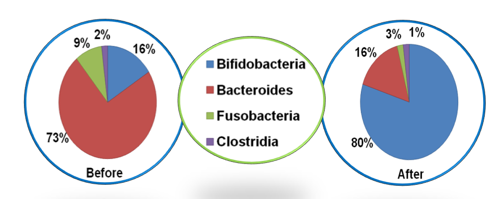 Fructo-oligosaccharide 